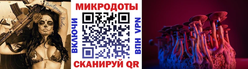 сколько стоит  Аткарск  mega ссылки  Псилоцибиновые грибы Psilocybe 